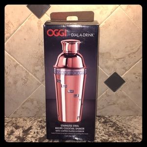 Stainless Steel Cocktail Shaker